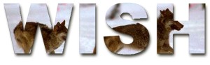 W.I.S.H. Logo